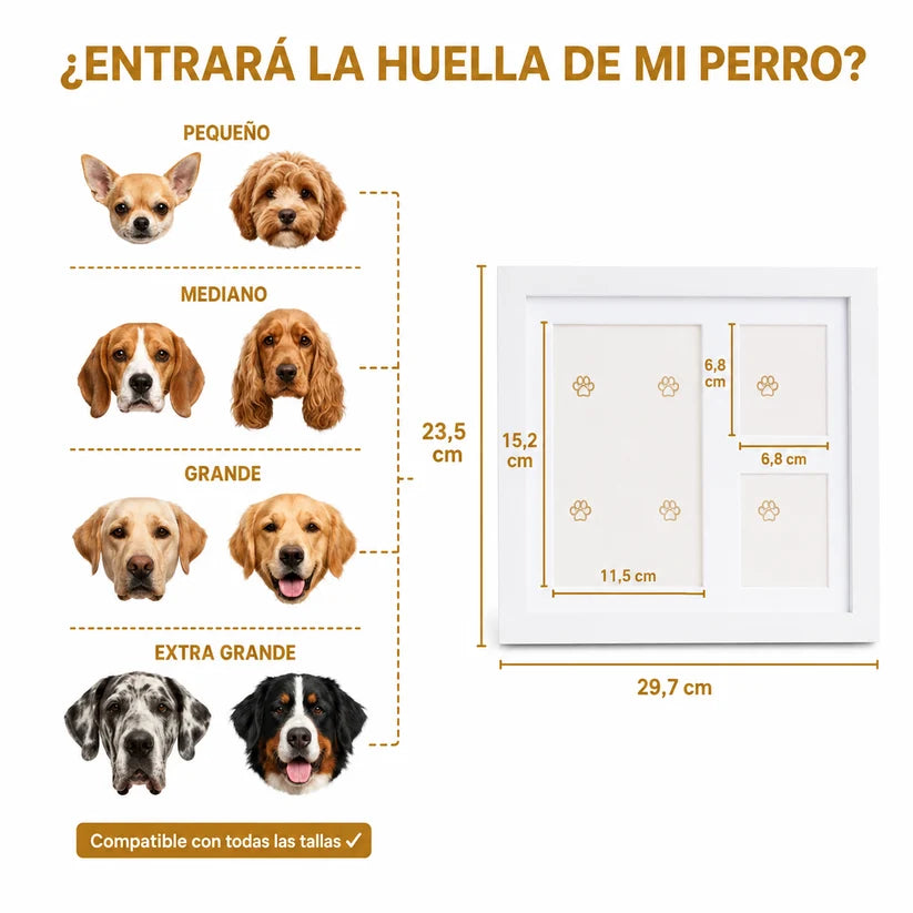 Cuadro para perro